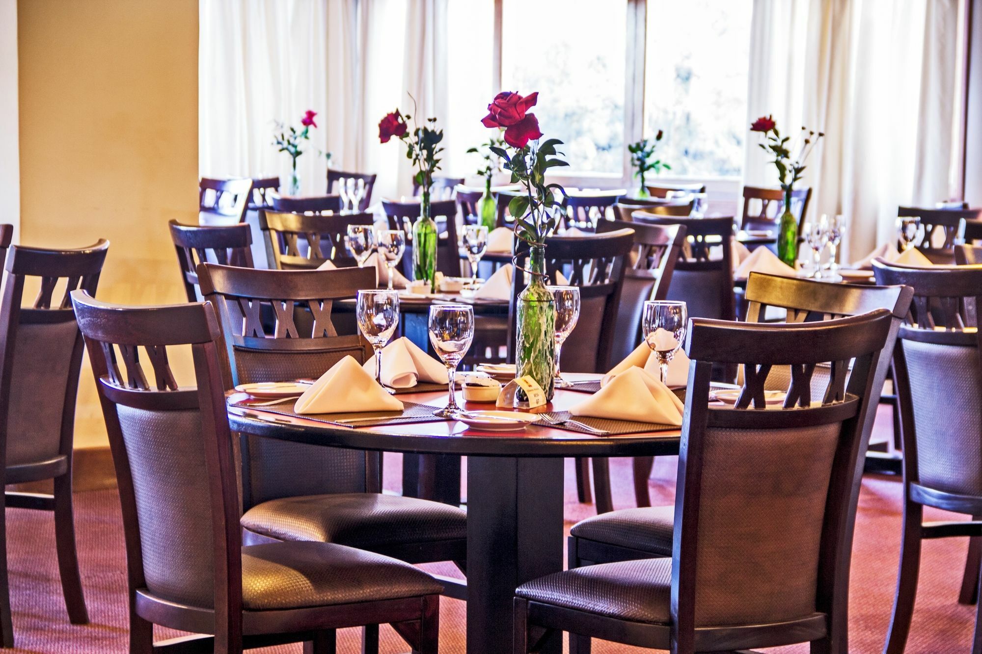 Tri Hotel Canela Zewnętrze zdjęcie